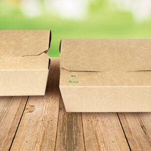 Packaging imballaggio contenitori alimentari fast food contenitori carta alimenti ecologico biologico riciclabile compostabile Roma Italia